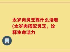 太岁肉灵芝靠什么活着(太岁肉搭配灵芝，诠释生命活力