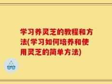 学习养灵芝的教程和方法(学习如何培养和使用灵芝的简单方法)