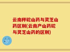 云南秤砣山药与灵芝山药区别(云南产山药砣与灵芝山药的区别)