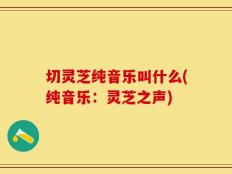 切灵芝纯音乐叫什么(纯音乐：灵芝之声)