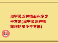 周宁灵芝种植面积多少平方米(周宁灵芝种植面积达多少平方米)