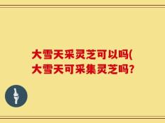 大雪天采灵芝可以吗(大雪天可采集灵芝吗？