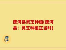 唐河县灵芝种植(唐河县：灵芝种植正当时)
