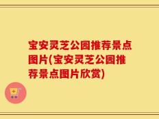 宝安灵芝公园推荐景点图片(宝安灵芝公园推荐景点图片欣赏)