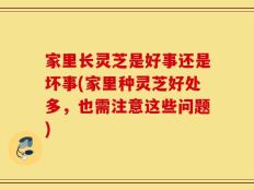 家里长灵芝是好事还是坏事(家里种灵芝好处多，也需注意这些问题)
