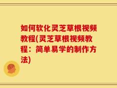 如何软化灵芝草根视频教程(灵芝草根视频教程：简单易学的制作方法)