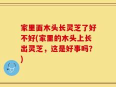 家里面木头长灵芝了好不好(家里的木头上长出灵芝，这是好事吗？)