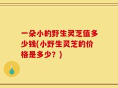 一朵小的野生灵芝值多少钱(小野生灵芝的价格是多少？)