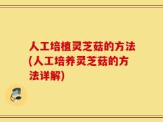 人工培植灵芝菇的方法(人工培养灵芝菇的方法详解)