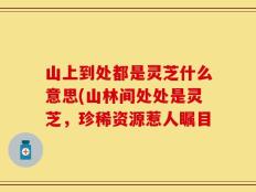 山上到处都是灵芝什么意思(山林间处处是灵芝，珍稀资源惹人瞩目