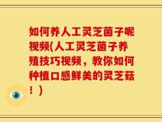 如何养人工灵芝菌子呢视频(人工灵芝菌子养殖技巧视频，教你如何种植口感鲜美的灵芝菇！)