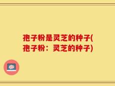 孢子粉是灵芝的种子(孢子粉：灵芝的种子)