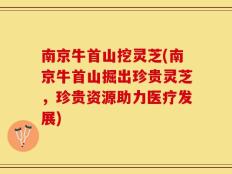 南京牛首山挖灵芝(南京牛首山掘出珍贵灵芝，珍贵资源助力医疗发展)