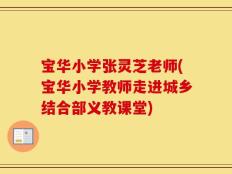 宝华小学张灵芝老师(宝华小学教师走进城乡结合部义教课堂)
