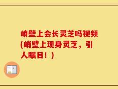 峭壁上会长灵芝吗视频(峭壁上现身灵芝，引人瞩目！)