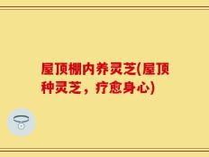 屋顶棚内养灵芝(屋顶种灵芝，疗愈身心)