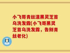 小飞哥青丝漾黑灵芝首乌洗发露(小飞哥黑灵芝首乌洗发露，告别青丝老化)