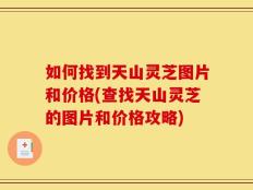 如何找到天山灵芝图片和价格(查找天山灵芝的图片和价格攻略)