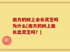 南方的树上会长灵芝吗为什么(南方的树上能长出灵芝吗？)