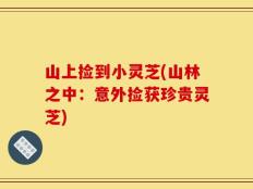 山上捡到小灵芝(山林之中：意外捡获珍贵灵芝)
