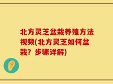 北方灵芝盆栽养殖方法视频(北方灵芝如何盆栽？步骤详解)