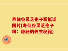 寿仙谷灵芝孢子粉低调图片(寿仙谷灵芝孢子粉：隐秘的养生秘籍)