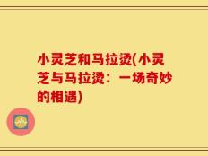 小灵芝和马拉烫(小灵芝与马拉烫：一场奇妙的相遇)