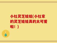 小杜灵芝娃娃(小杜家的灵芝娃娃真的太可爱啦！)