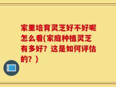 家里培育灵芝好不好呢怎么看(家庭种植灵芝有多好？这是如何评估的？)