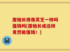 崖柏长得像灵芝一样吗值钱吗(崖柏长成这样竟然能值钱！)