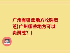 广州有哪些地方收购灵芝(广州哪些地方可以卖灵芝？)