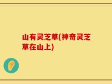 山有灵芝草(神奇灵芝草在山上)