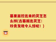墓里面挖出来的灵芝怎么样(古墓掘出灵芝：珍贵发现令人惊叹！)