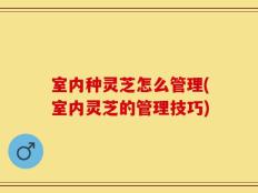室内种灵芝怎么管理(室内灵芝的管理技巧)