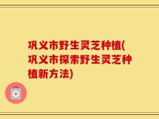 巩义市野生灵芝种植(巩义市探索野生灵芝种植新方法)