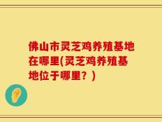 佛山市灵芝鸡养殖基地在哪里(灵芝鸡养殖基地位于哪里？)