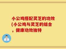 小公鸡搭配灵芝的功效(小公鸡与灵芝的组合，健康功效独特