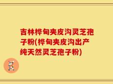 吉林桦甸夹皮沟灵芝孢子粉(桦甸夹皮沟出产纯天然灵芝孢子粉)