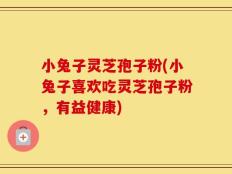 小兔子灵芝孢子粉(小兔子喜欢吃灵芝孢子粉，有益健康)