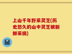 上山千年野采灵芝(历史悠久的山中灵芝被新鲜采摘)