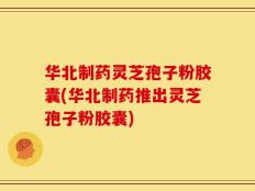 华北制药灵芝孢子粉胶囊(华北制药推出灵芝孢子粉胶囊)