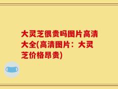 大灵芝很贵吗图片高清大全(高清图片：大灵芝价格昂贵)