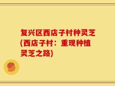 复兴区西店子村种灵芝(西店子村：重现种植灵芝之路)
