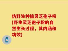 仿野生种植灵芝孢子粉(野生灵芝孢子粉的自然生长过程，其内涵和功效)
