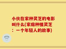 小伙在家种灵芝的电影叫什么(家庭种植灵芝：一个年轻人的故事)