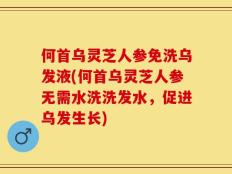 何首乌灵芝人参免洗乌发液(何首乌灵芝人参无需水洗洗发水，促进乌发生长)