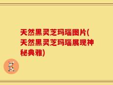 天然黑灵芝玛瑙图片(天然黑灵芝玛瑙展现神秘典雅)