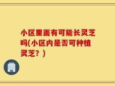小区里面有可能长灵芝吗(小区内是否可种植灵芝？)