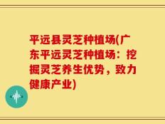 平远县灵芝种植场(广东平远灵芝种植场：挖掘灵芝养生优势，致力健康产业)