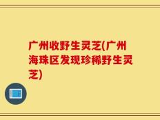 广州收野生灵芝(广州海珠区发现珍稀野生灵芝)